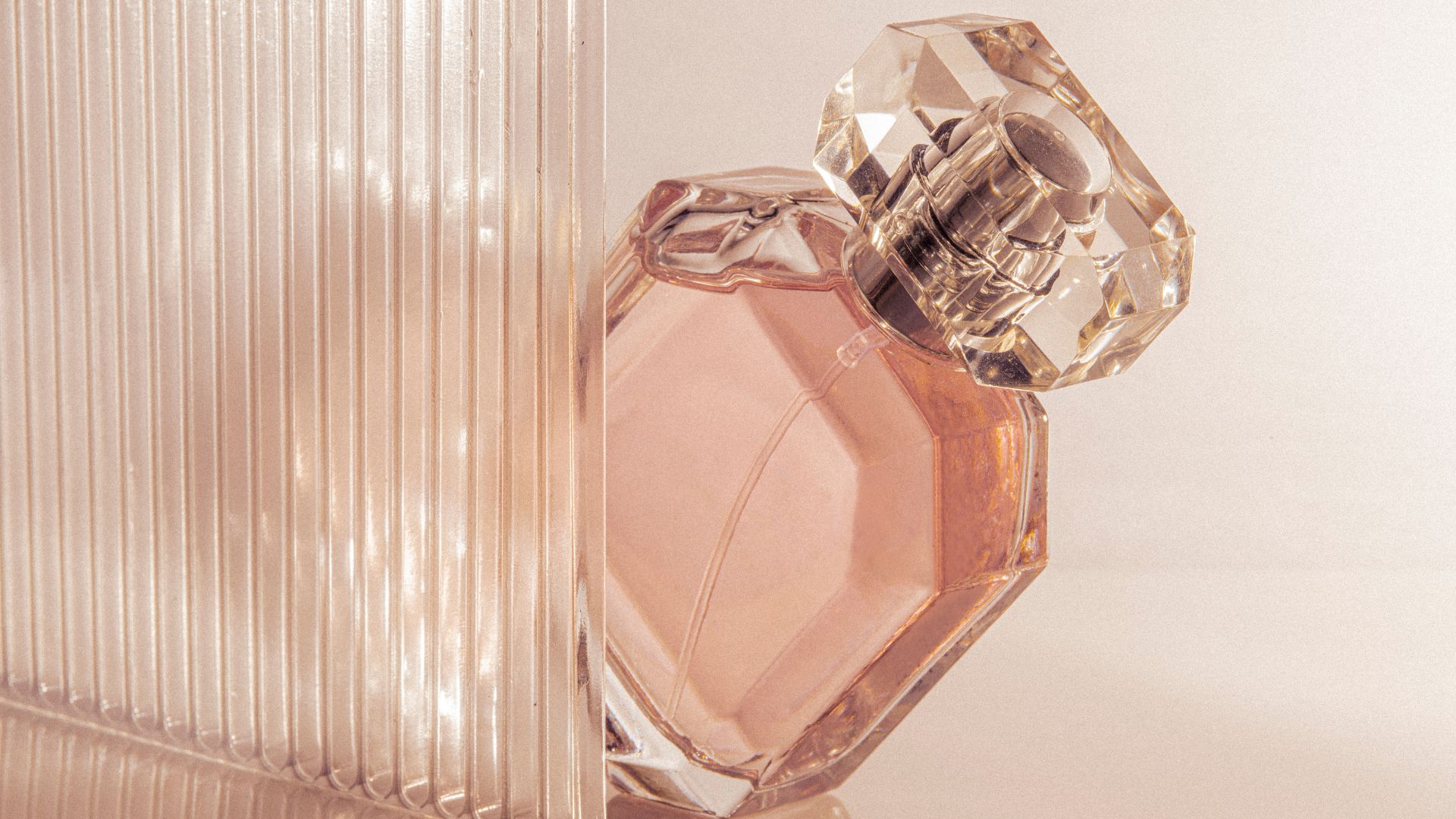 Profumi Vilhelm Parfumerie: Mango Skin e Dear Polly