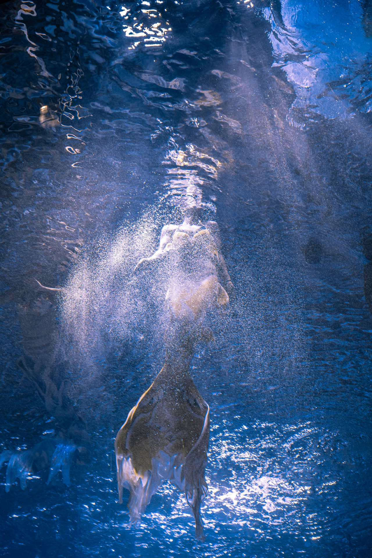 Coda di sirena sott'acqua tra riflessi blu e bollicine