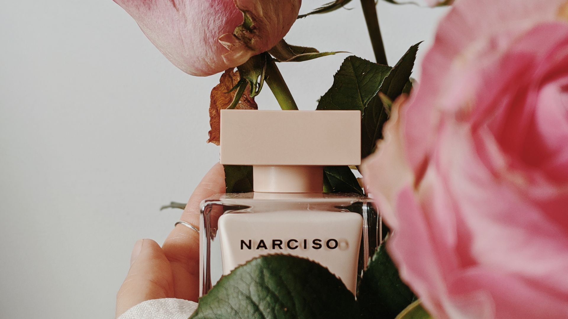 Narciso Rodriguez For Her: la Storia del Profumo Donna Più Cercato in Italia