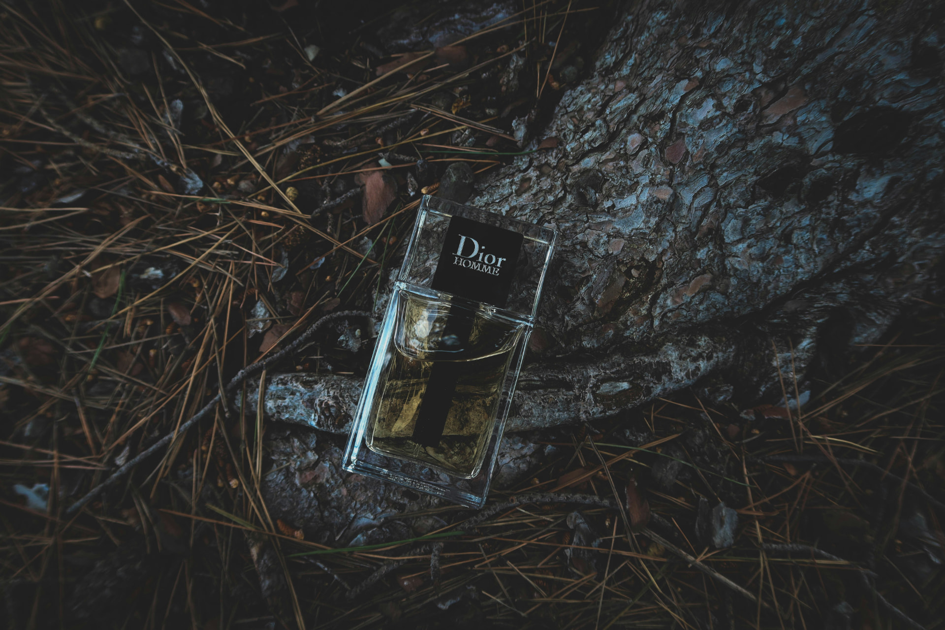 Flacone Dior Homme tra radici e aghi di pino, profumo legnoso maschile