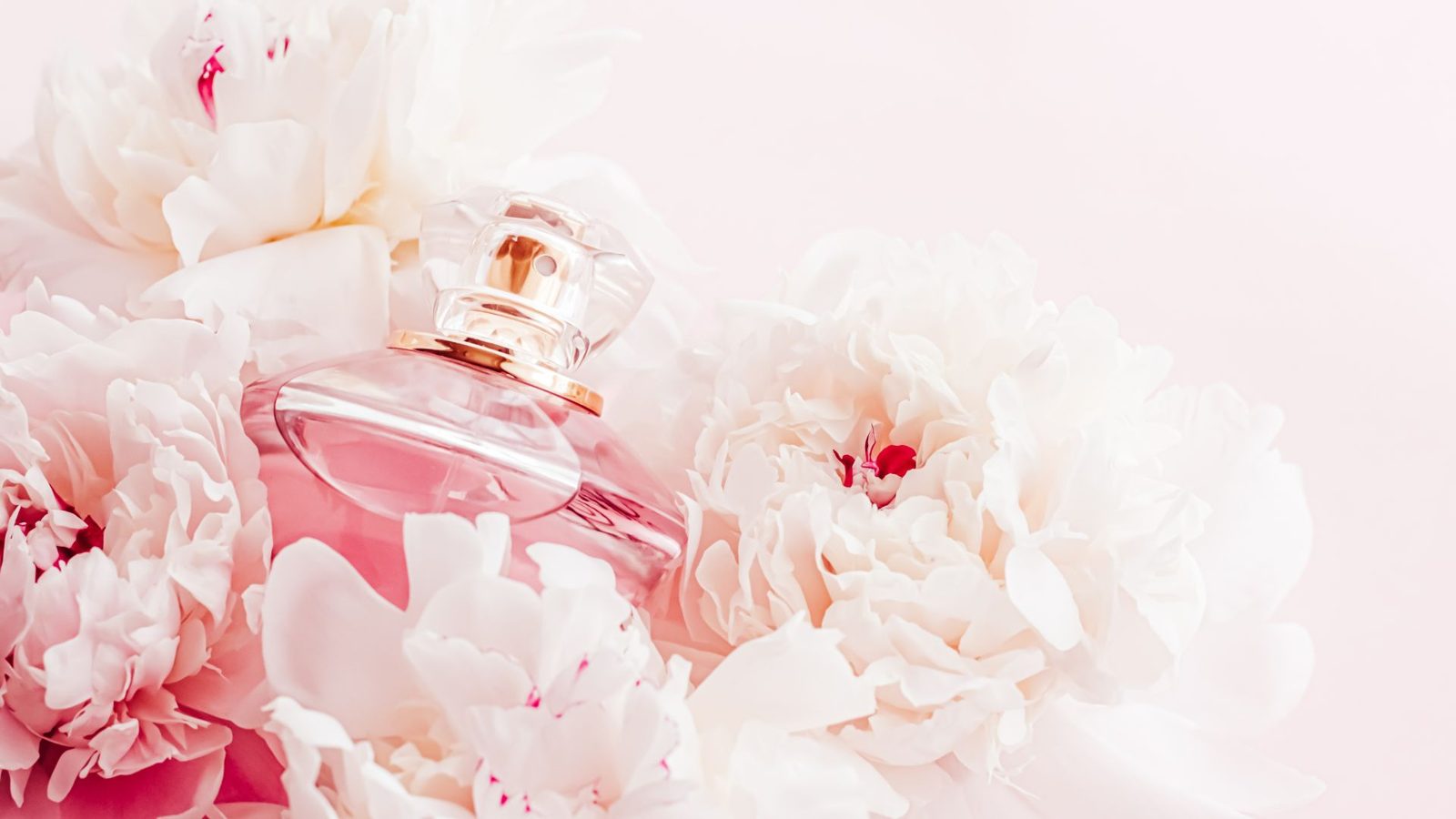 I migliori profumi alla peonia: note e fragranze da provare