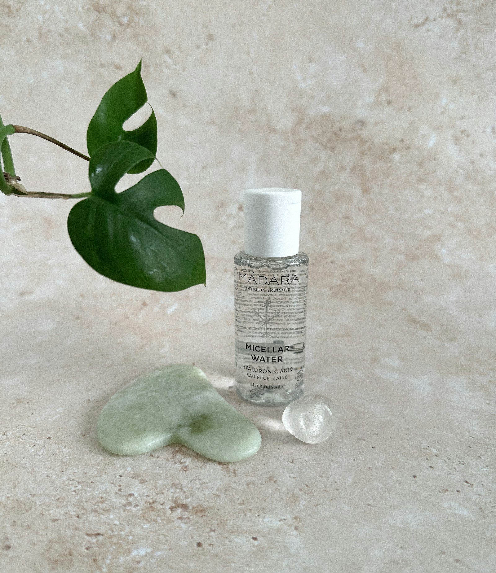 Crema viso in flacone accanto a una pianta verde e cristalli decorativi