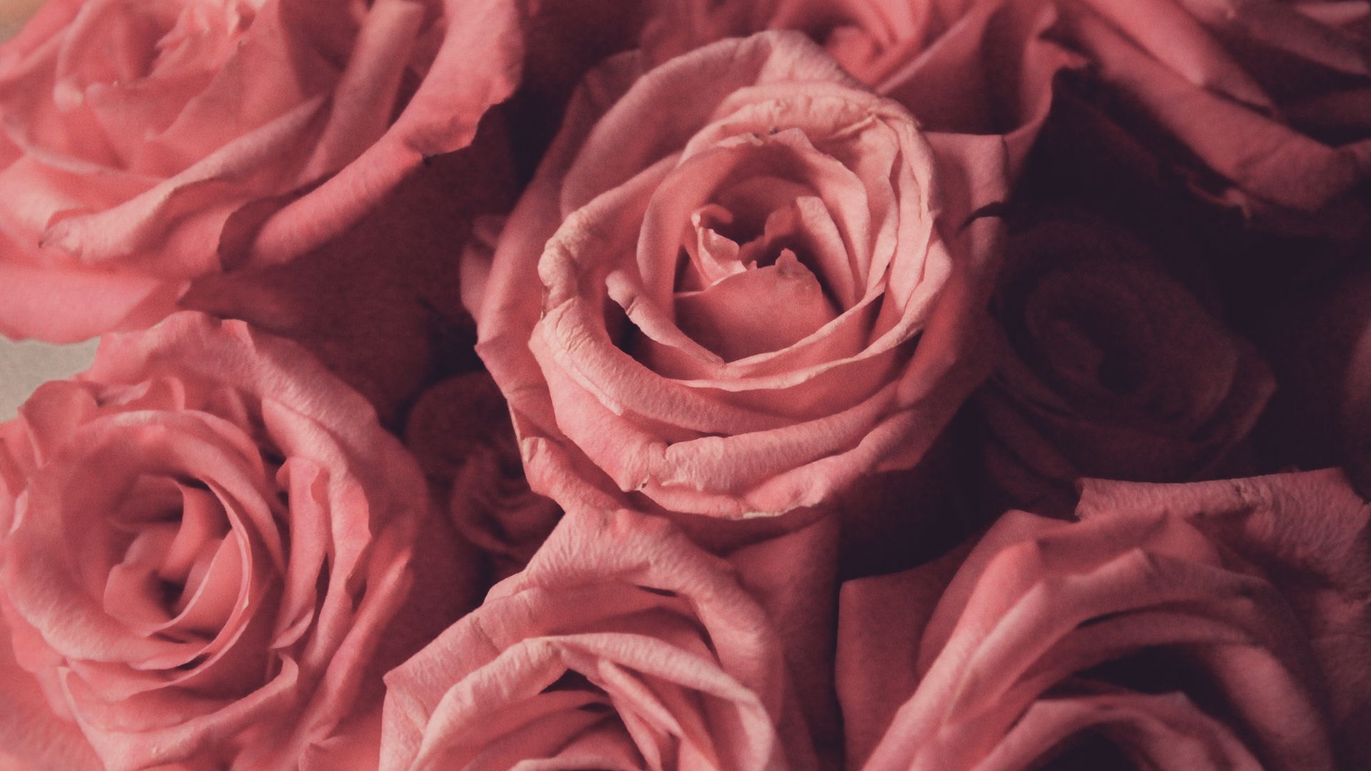 Trucco rosa cipria: il look romantico con Lancôme