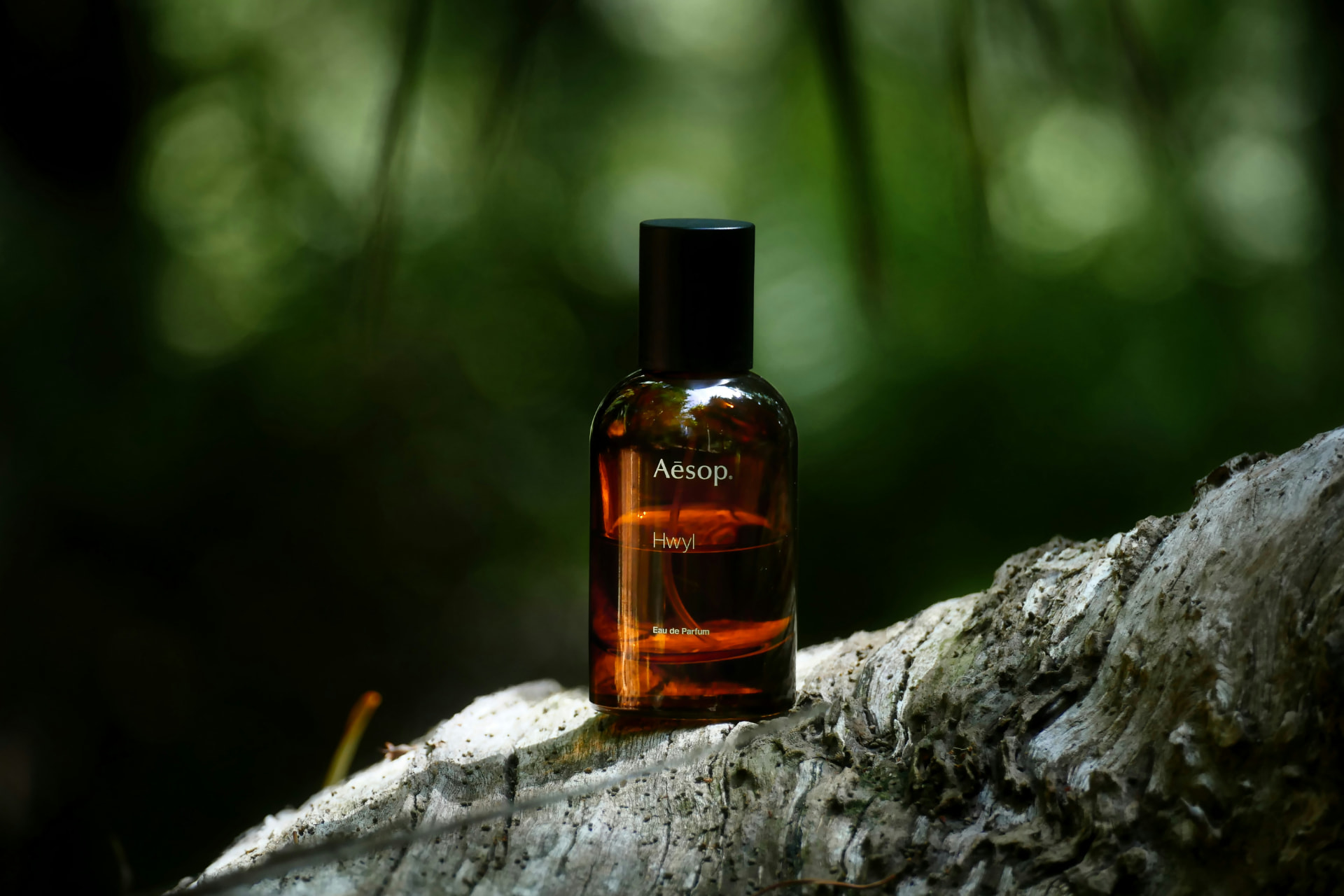 Flacone di eau de parfum ambrato nel bosco