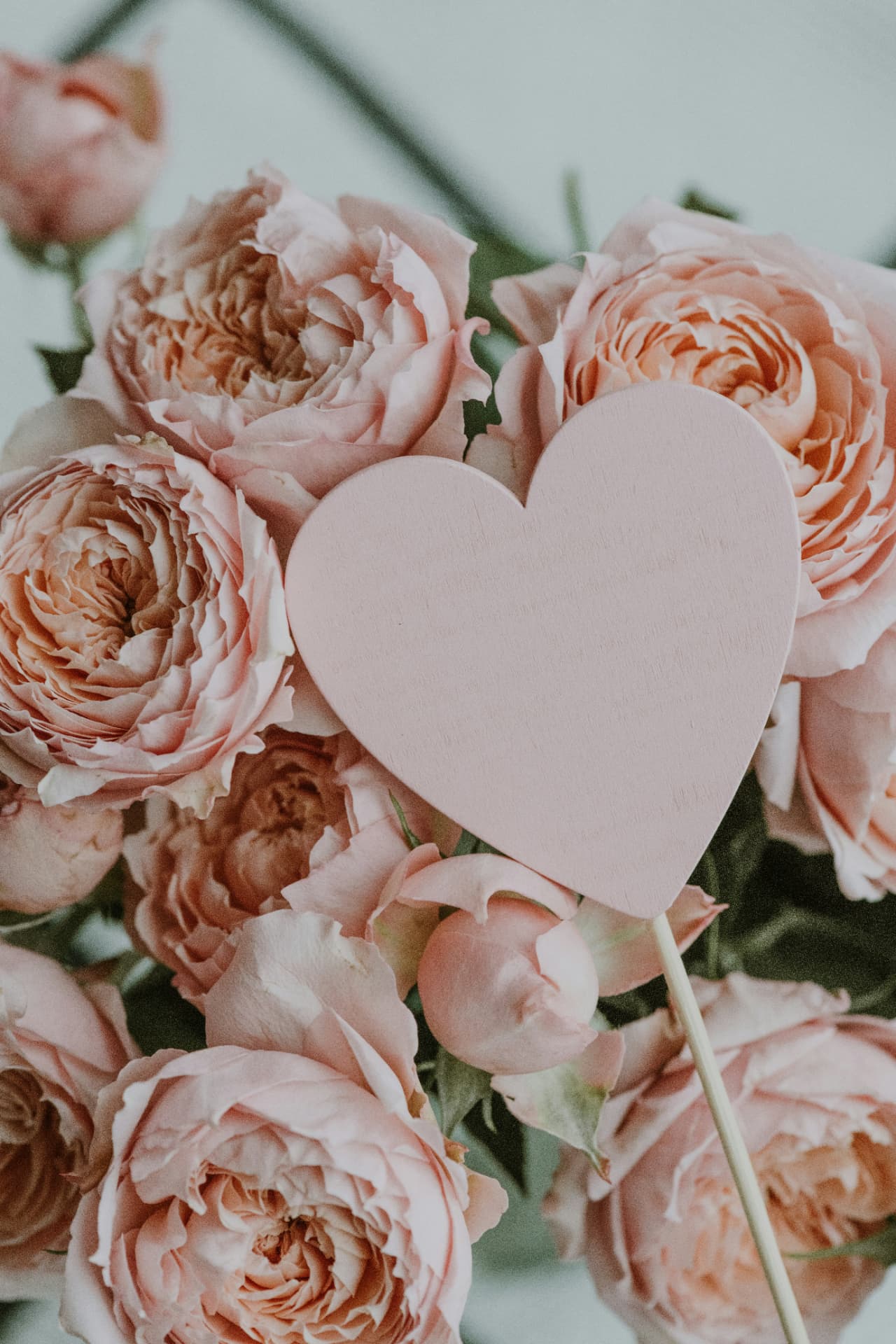 Cuore rosa in legno tra rose inglesi color pesca, simbolo di un profumo di coppia
