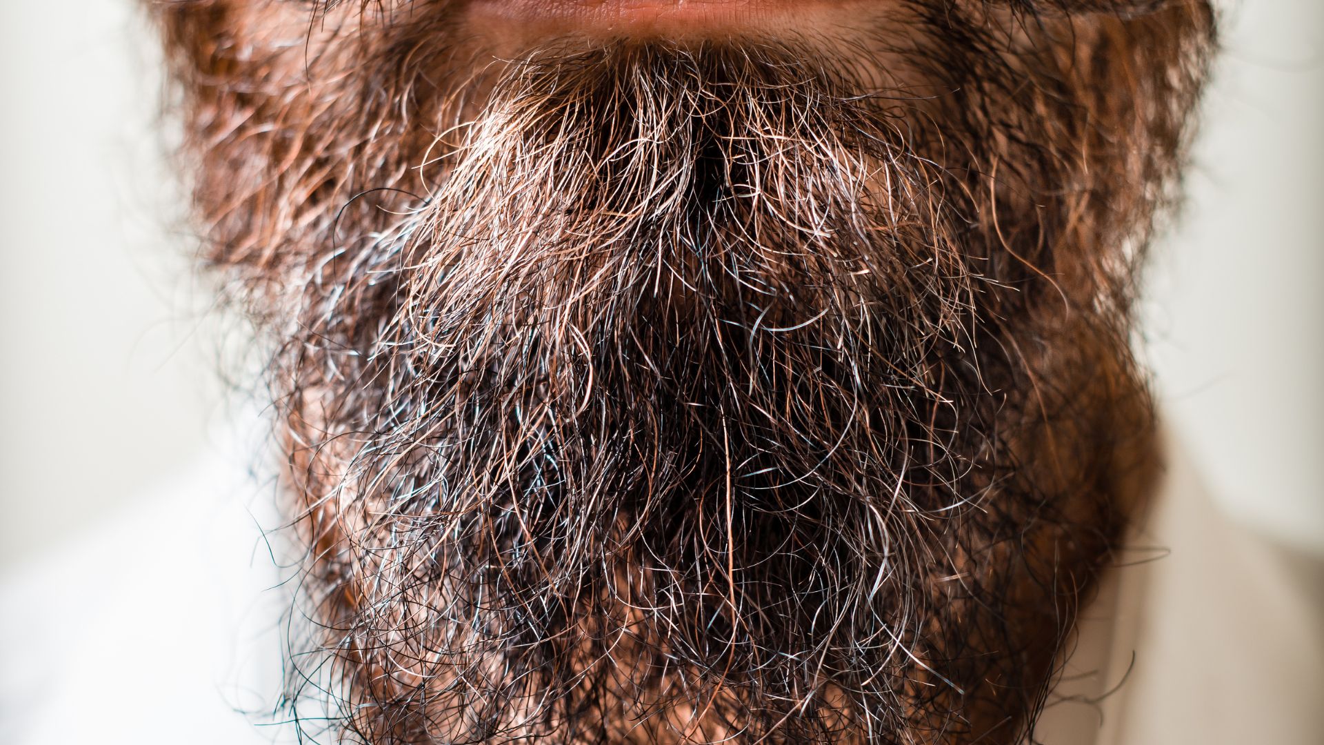 Dettaglio di barba lunga