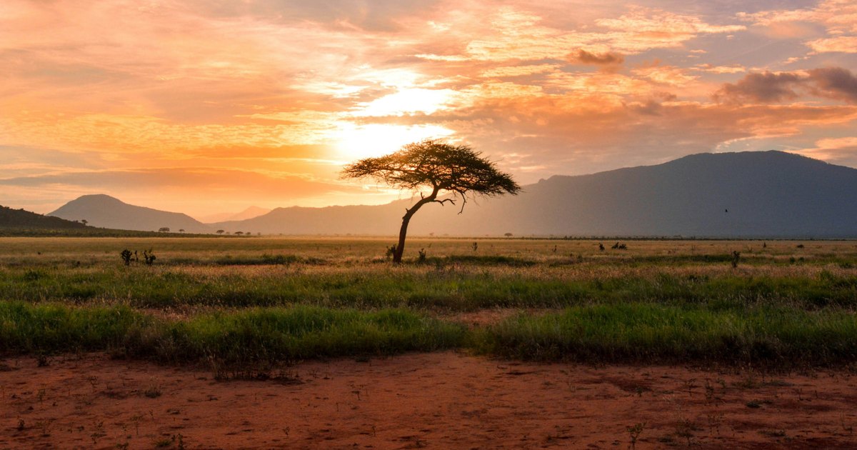 Scent of Africa: profumi, note olfattive e collezione Eternal Legends