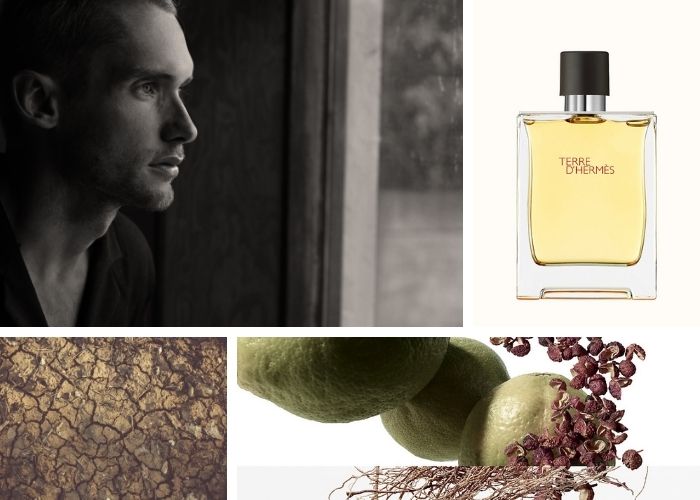 Terre d'Hermès Eau de Parfum uomo. Note e formati