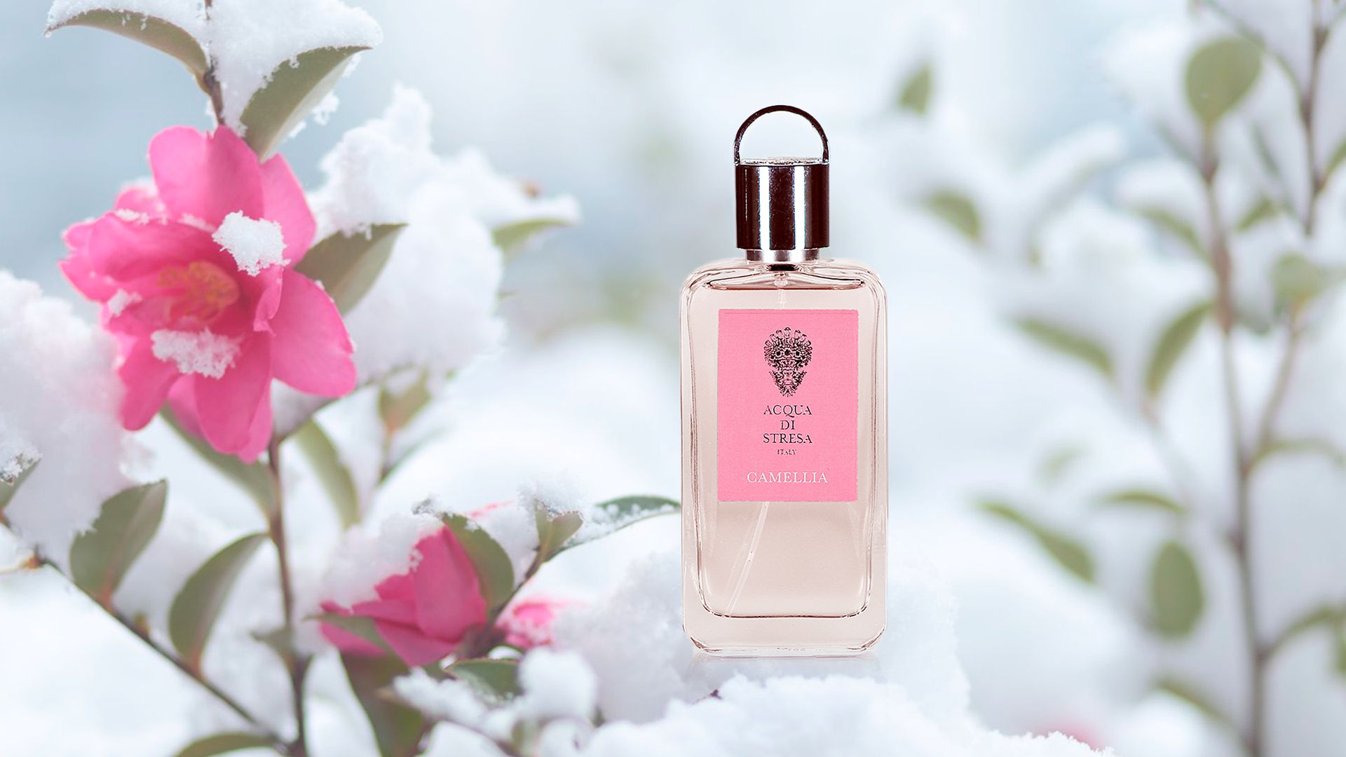 Acqua di Stresa Camellia celebra 20 anni con la storica fragranza