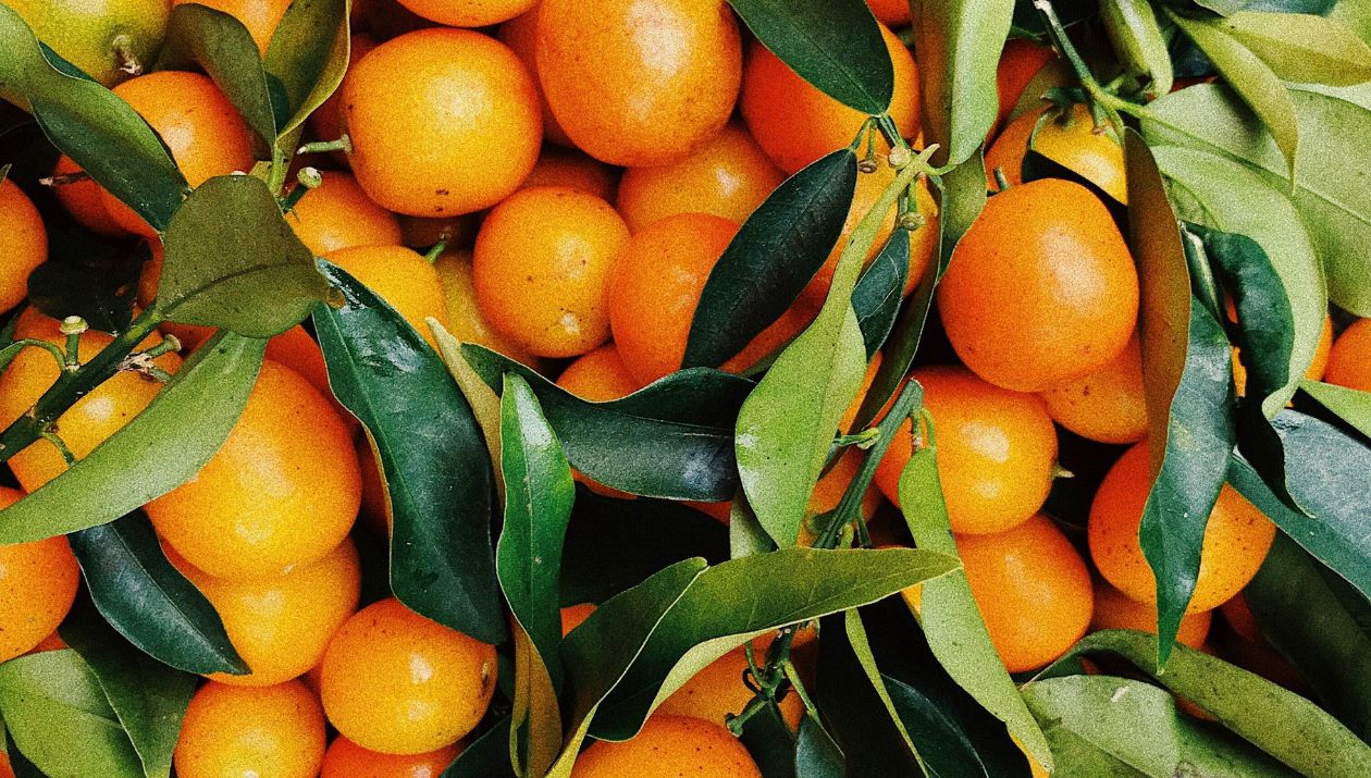 Profumi agrumati: Materie prime e origini dei jus più freschi