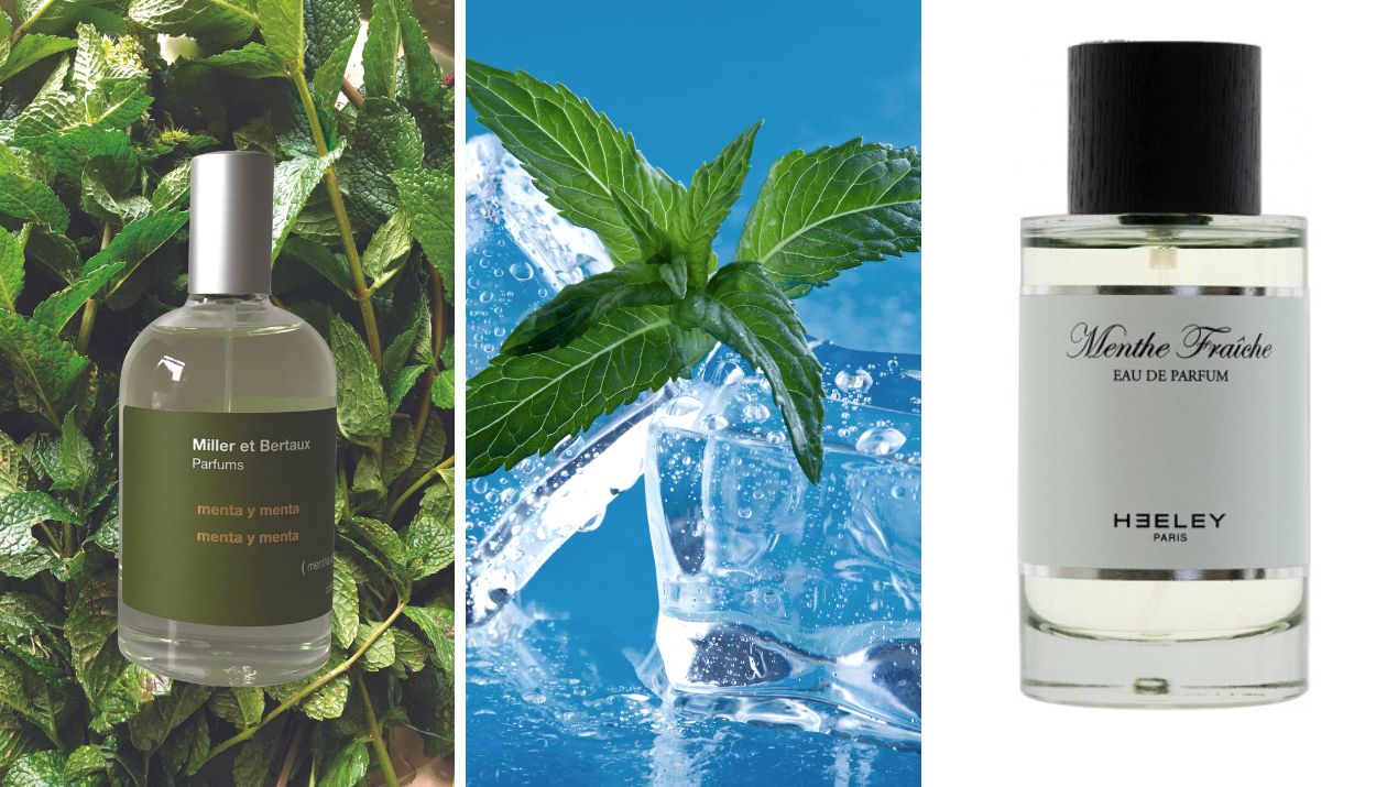 profumi menta