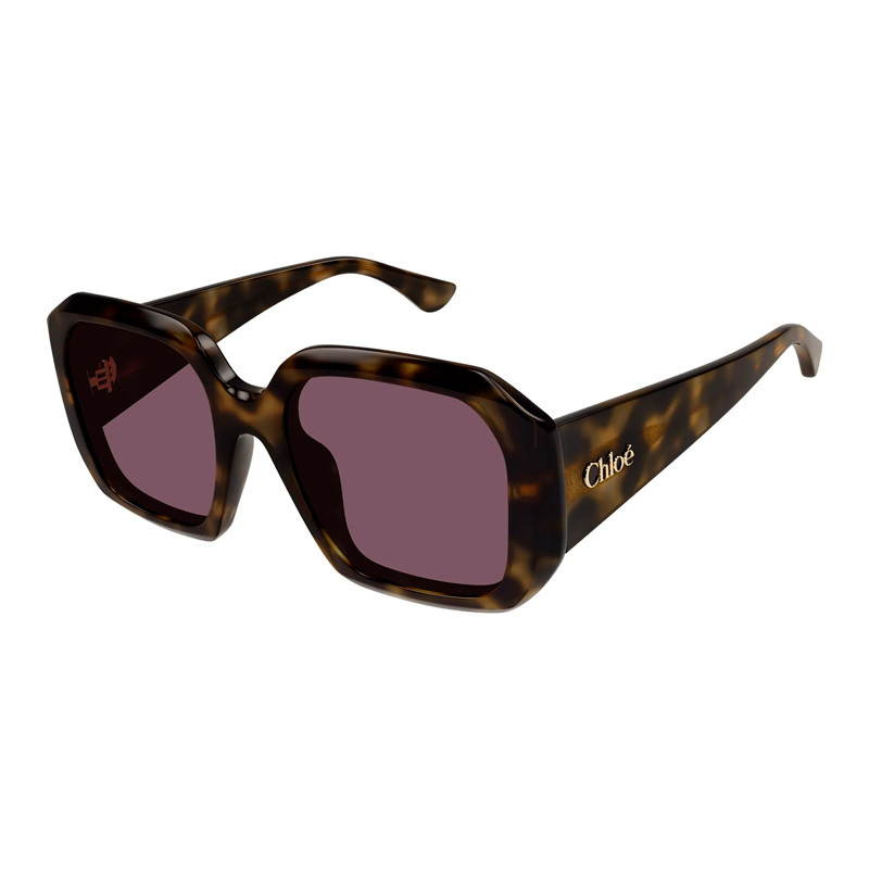 Chloe Occhiali da sole da donna Sunglasses Ch0300S