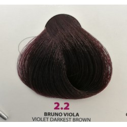 Tintura Wind Colour 2.2 Bruno Viola 100 ml