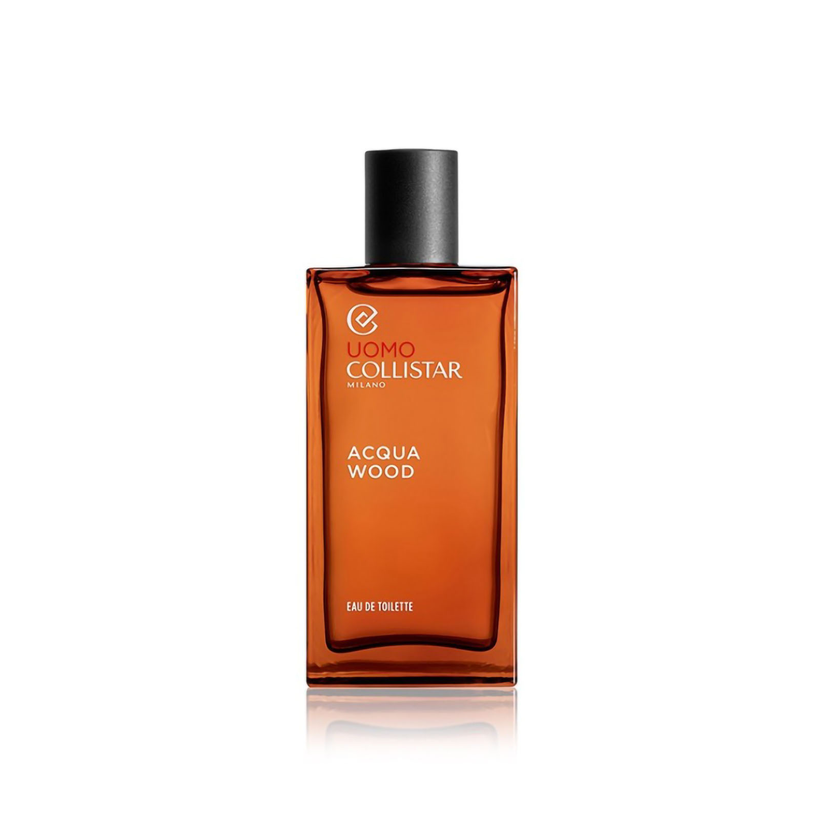 Acqua Wood - Eau De Toilette 100 ml