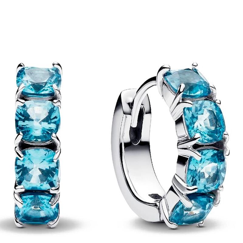 Pandora Orecchini Hoop Earrings 293851C01