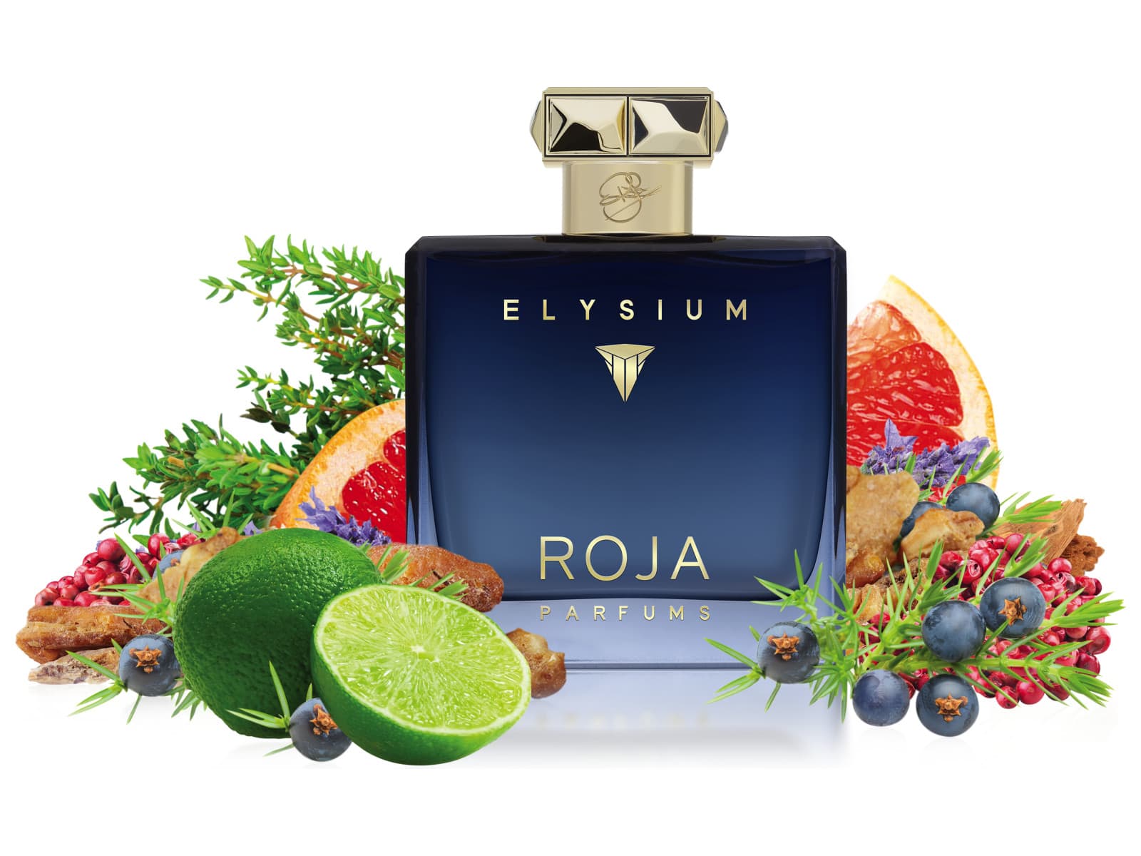 Roja Elysium Pour Homme Parfum Cologne 100 ML