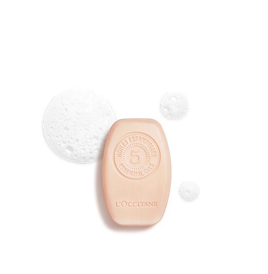 Repair Solid Shampoo 60gr.