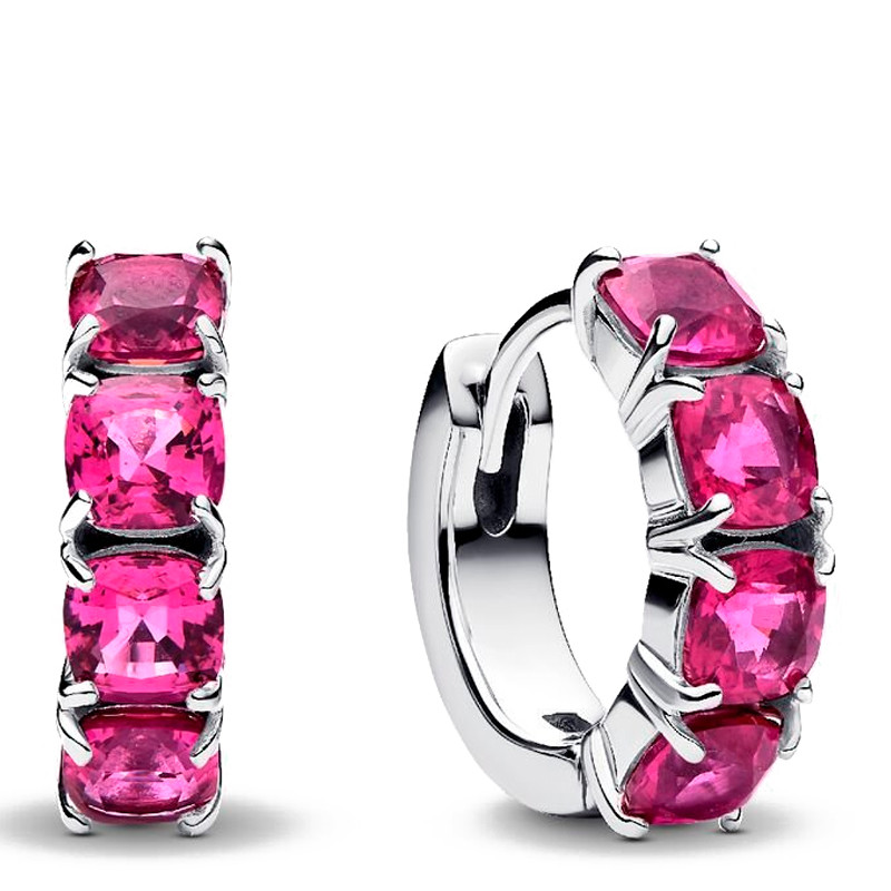 Pandora Orecchini Hoop Earrings 293851C02