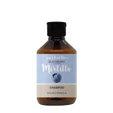 Sweet Fruit Vibes - Mirtillo Shampoo 250 ml