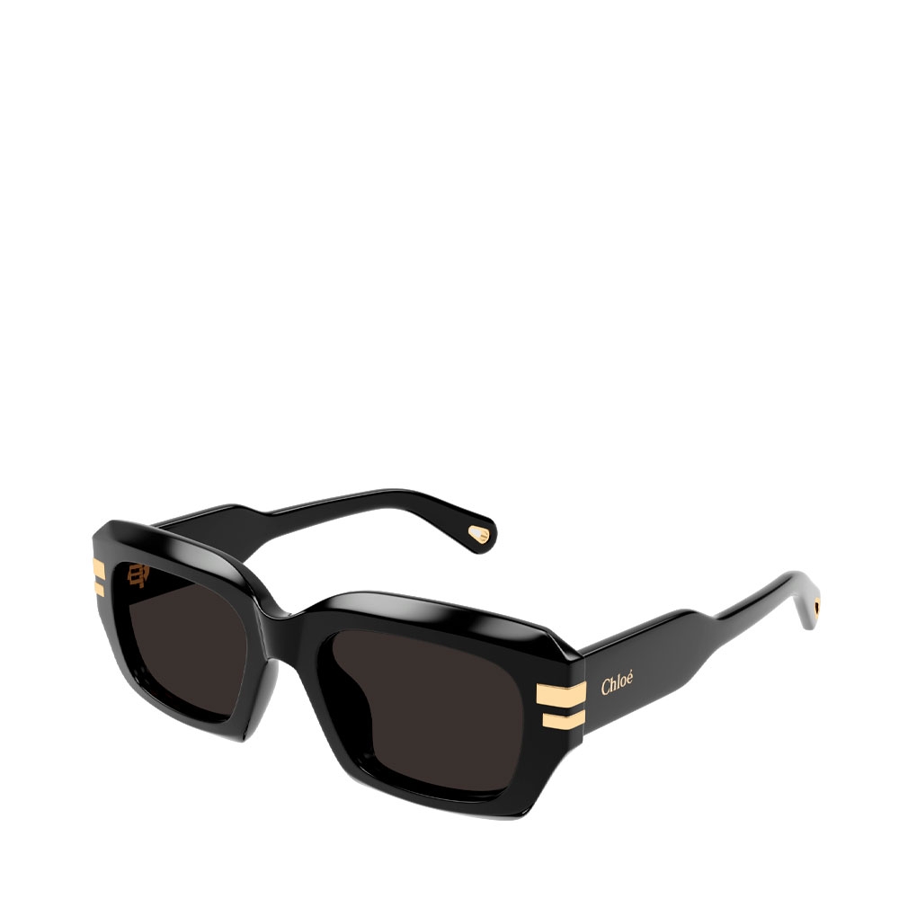 Chloe Occhiali da sole da donna OCCHIALI DA SOLE CH0256S
