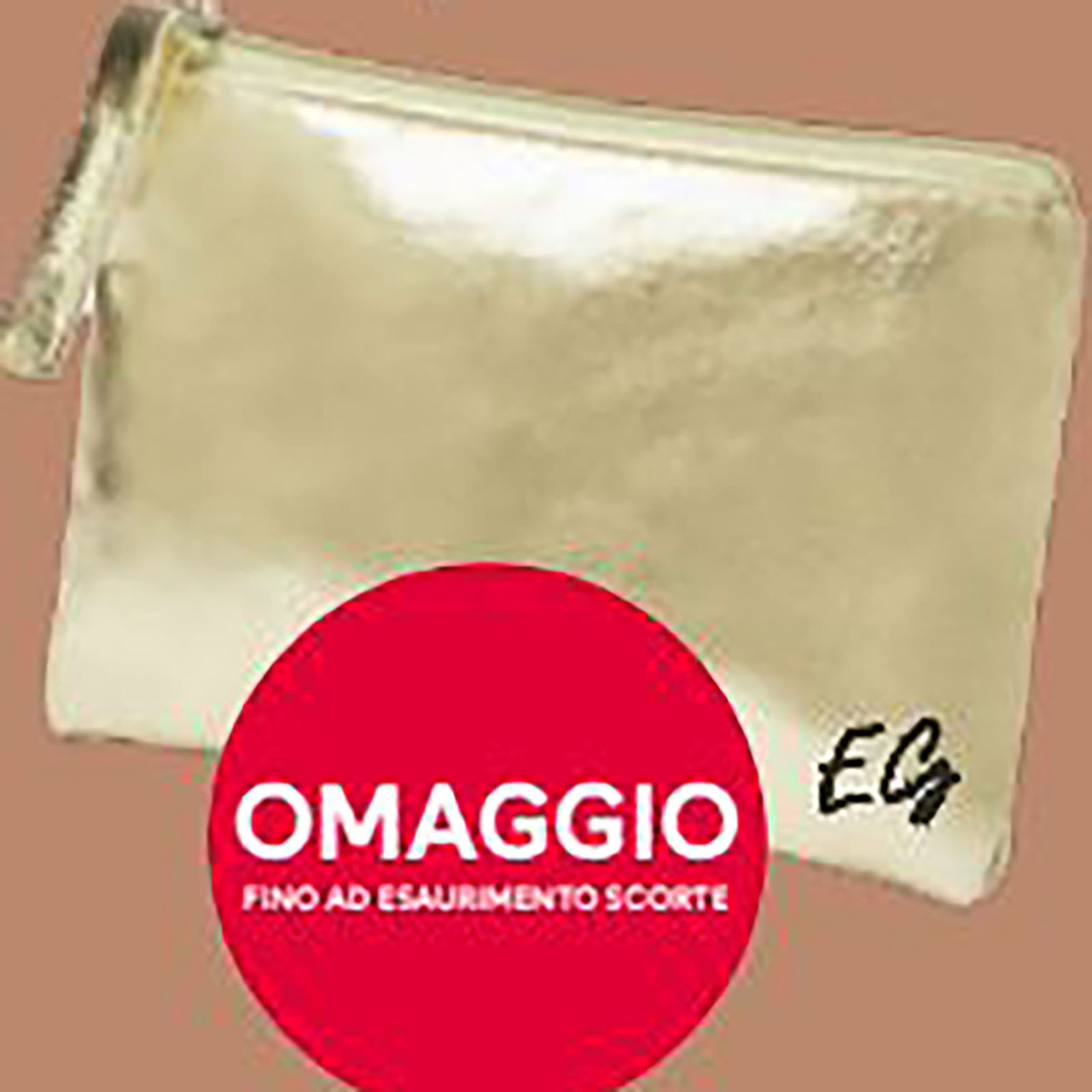 Elisabetta Gregoraci Pouch Rosa