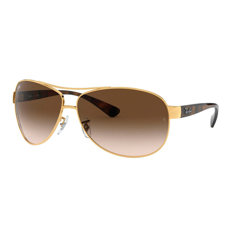 Ray-ban Occhiali da sole da donna RB3386 001/13 Arista Brown Gradient