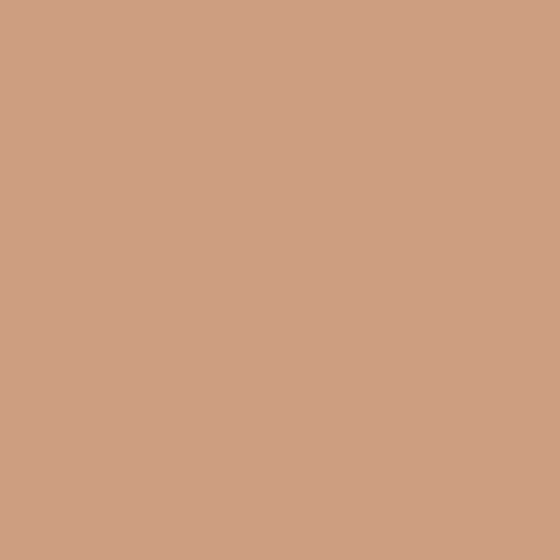 Stay-Matte Sheer Pressed Powder - Cipria Compatta Opacizzante - N. 17 Stay Golden