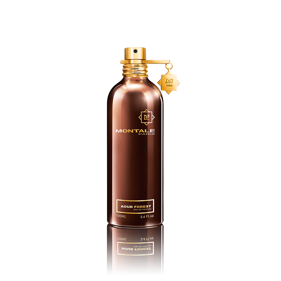 Aoud Forest ( EDP 100ml)
