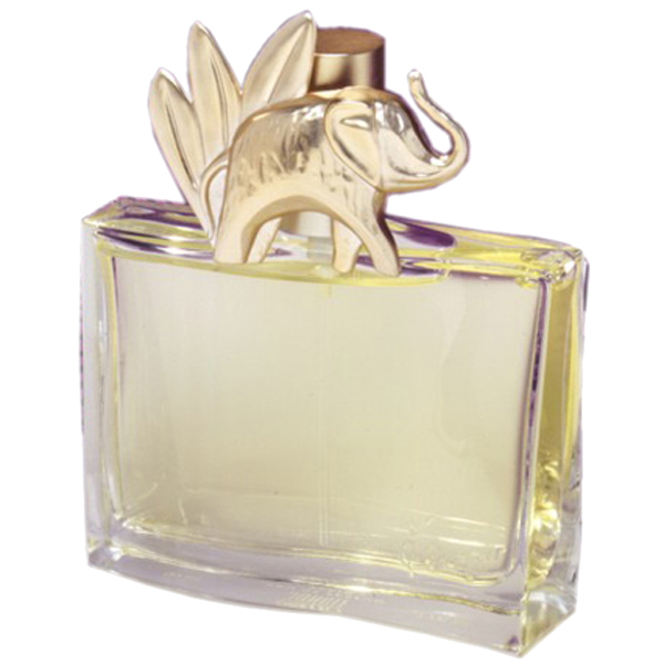 Outlet Kenzo Jungle - Eau de Parfum 100 ml
