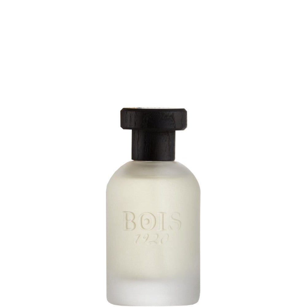 Bois 1920 I CLASSICI - Classic 1920 EDP 100 ML - 100 ML