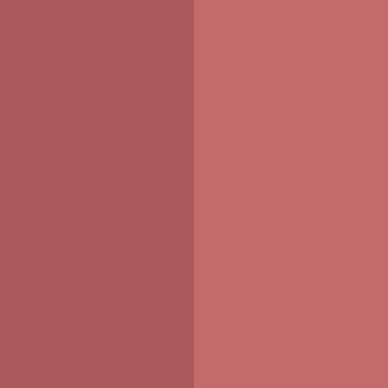 Lip Contour Kit ROSSETTO + MATITA - N. 505 ROSA CORALLO + MATITA 12CM INNOCENT ROSE