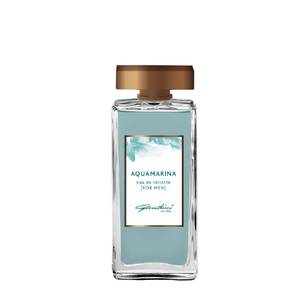 Gandini - Aquamarina for men EDT 100 ml
