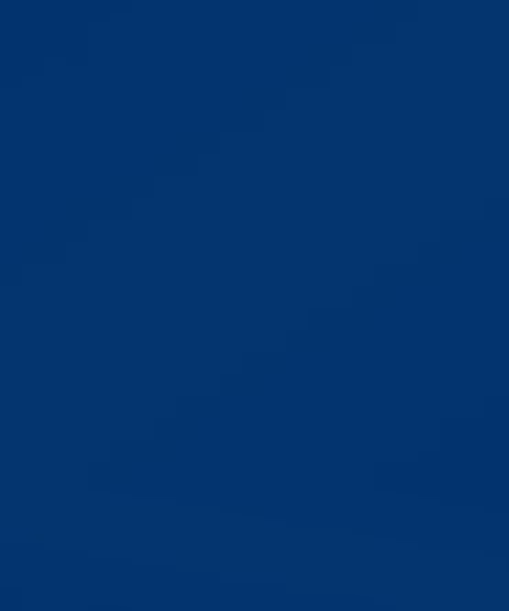 Wild - Balsamo colorato 180 ml - Blu