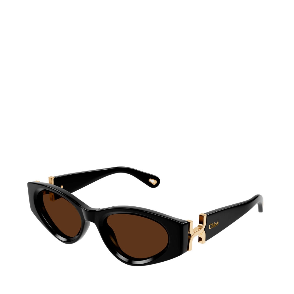 Chloe Occhiali da sole da donna OCCHIALI DA SOLE CH0259S