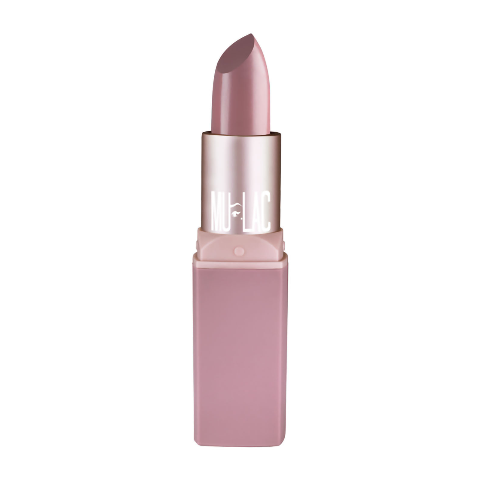Lipstick Matte Lipstick sex trainer 45
