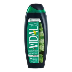 Peppermint & Ginkgo Doccia Shampoo Menta E Ginkgo Biloba 250 ml