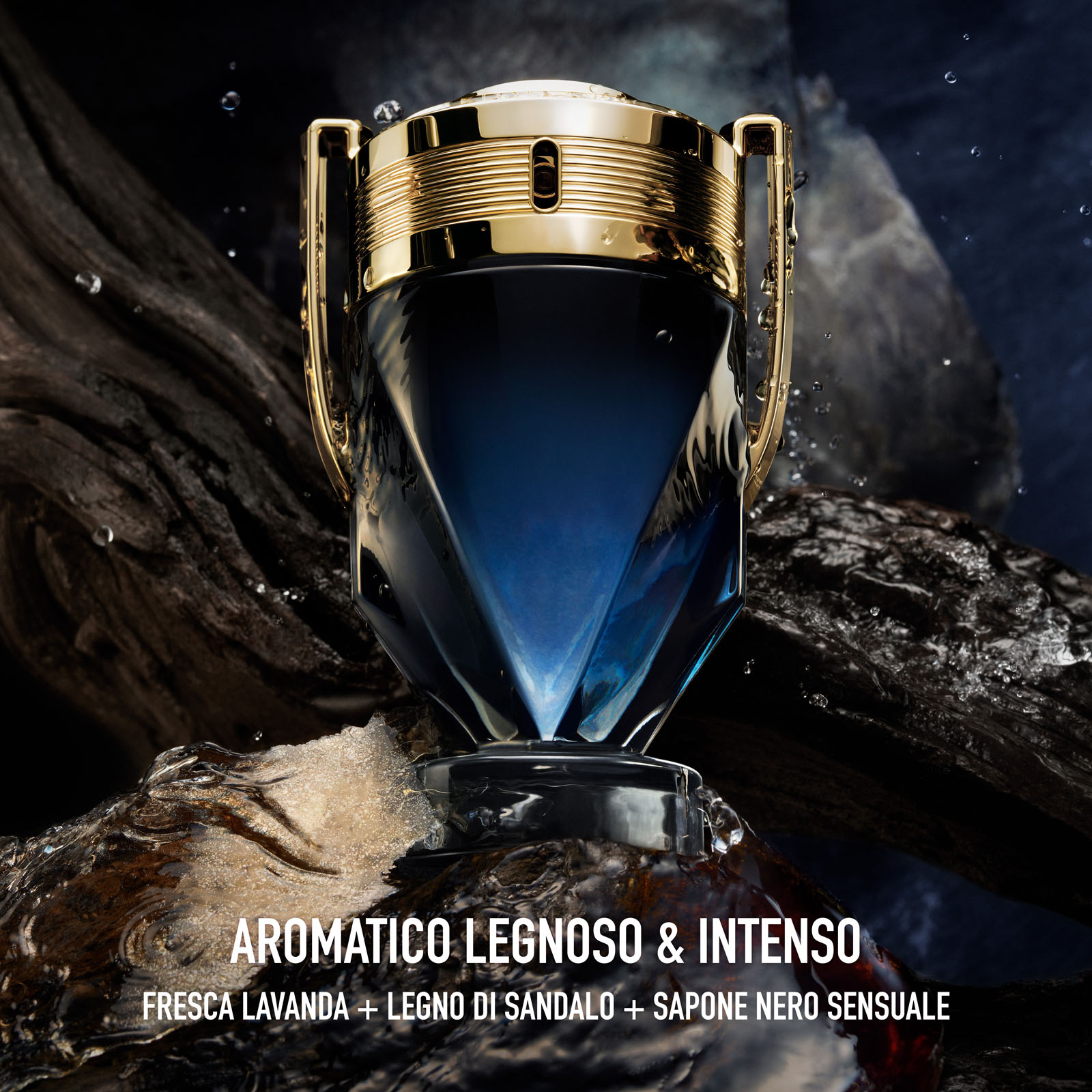 Invictus - Parfum 100 ml