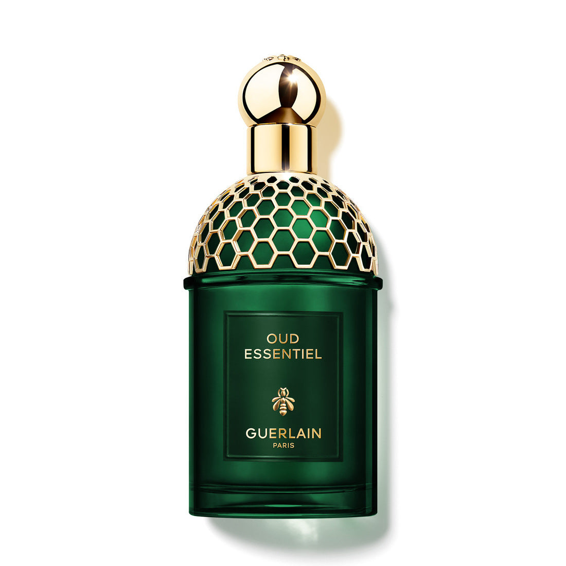 Absolus Allegoria Oud Essentiel - 125 ML