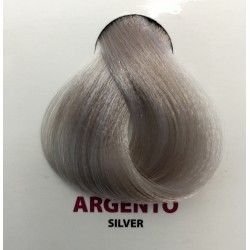 Tintura Wind Colour Argento 100 ml