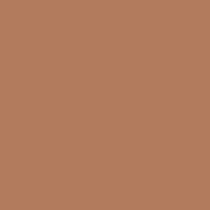 Stay-Matte Sheer Pressed Powder - Cipria Compatta Opacizzante - N. 04 Stay Honey
