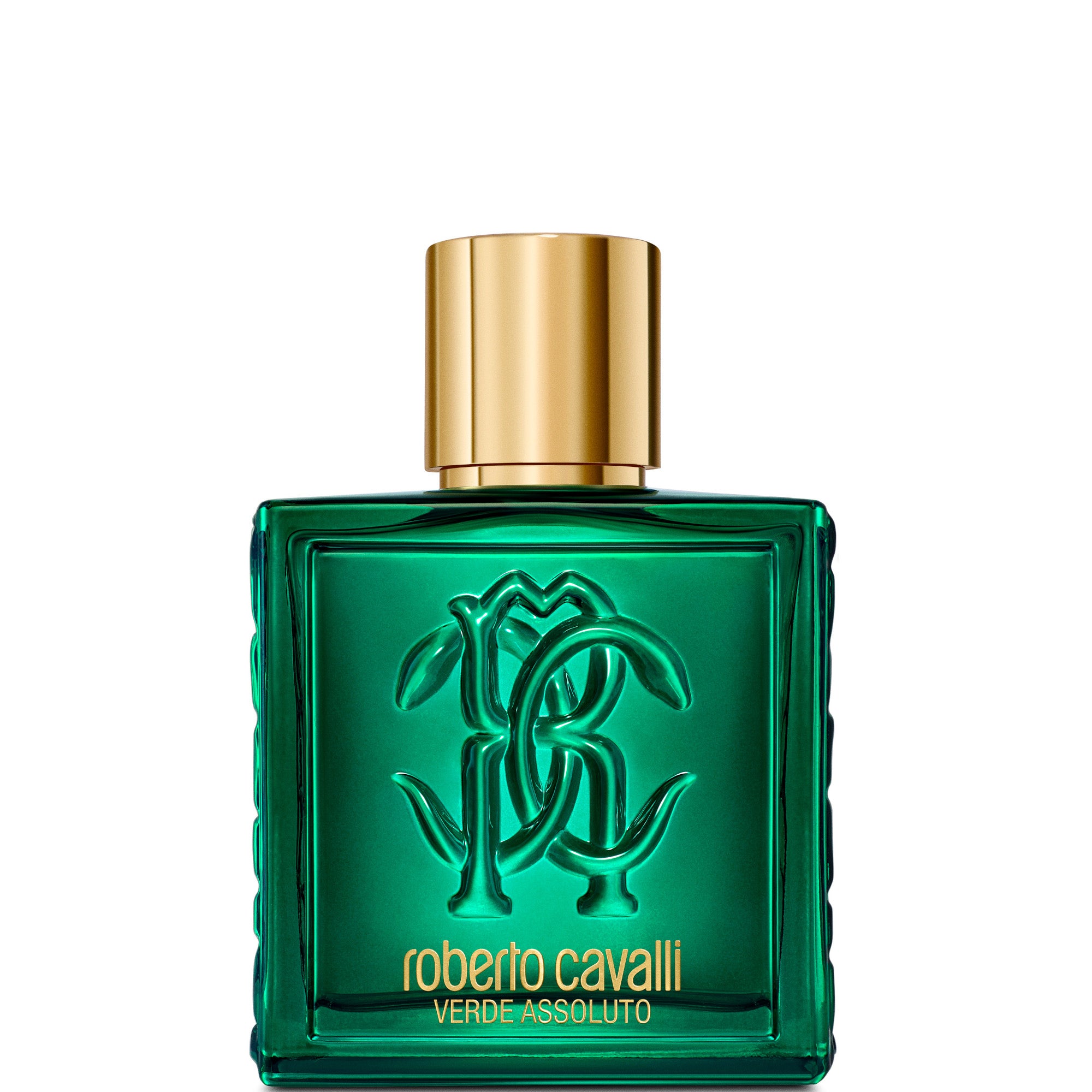 Roberto Cavalli Uomo Verde Assoluto - 100 ML