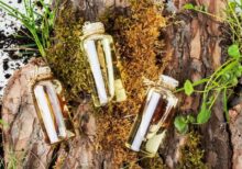Profumi dal Medio Oriente: inconfondibile Patchouli