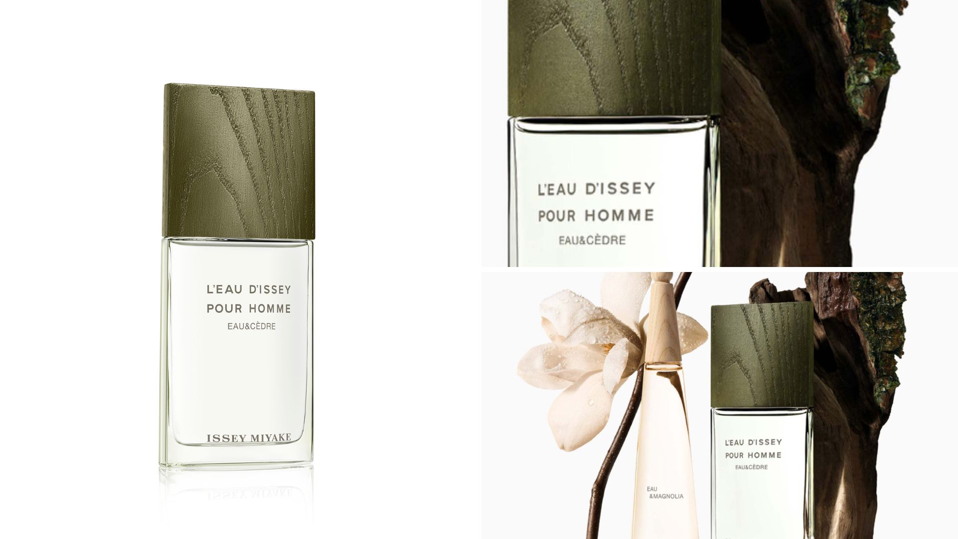 L'Eau d'Issey pour Homme