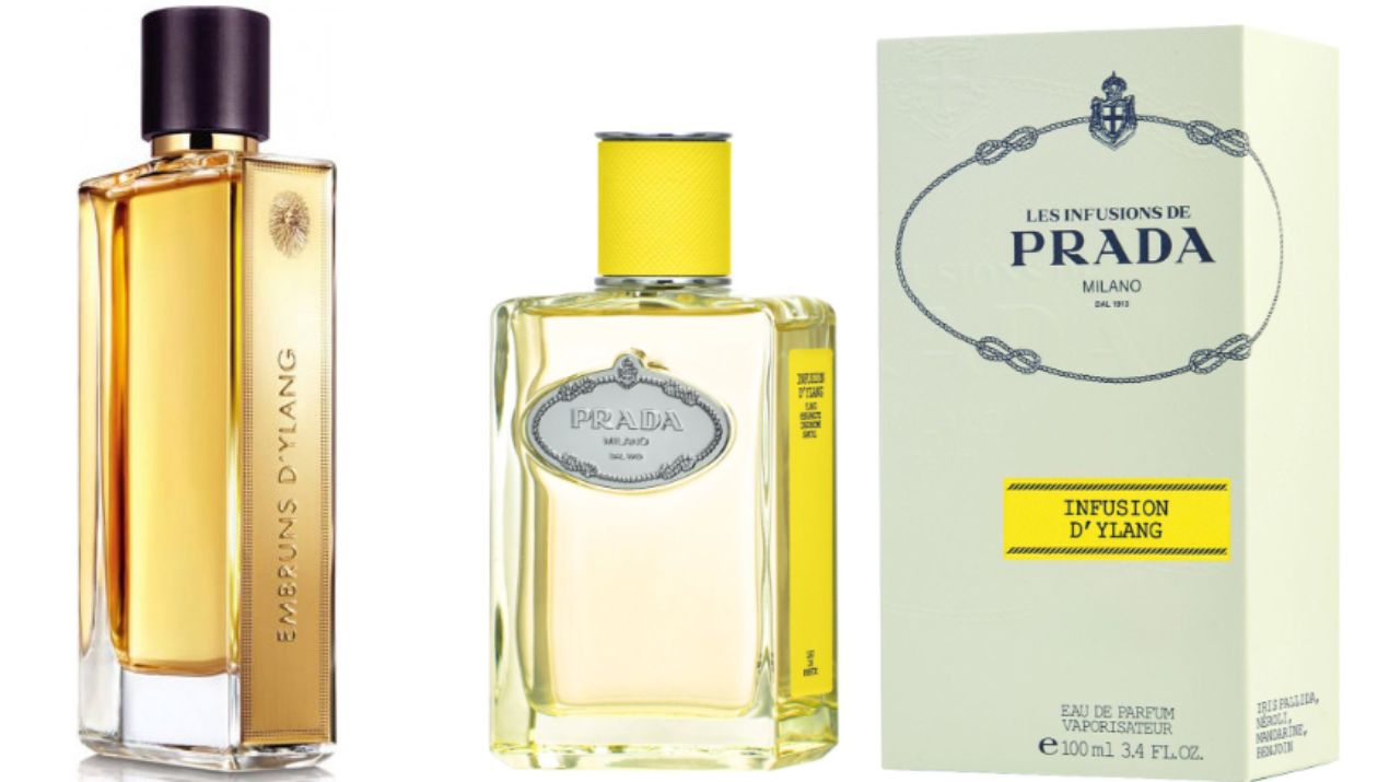 profumi ylang ylang